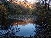 P1020667
