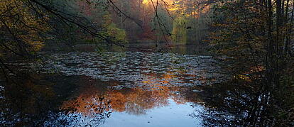 P1020667