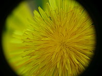 P1060050