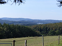 P1030319