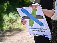 N Z6 8519