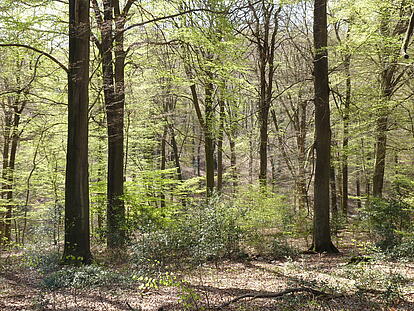 07aa Naturschutzgebiet
