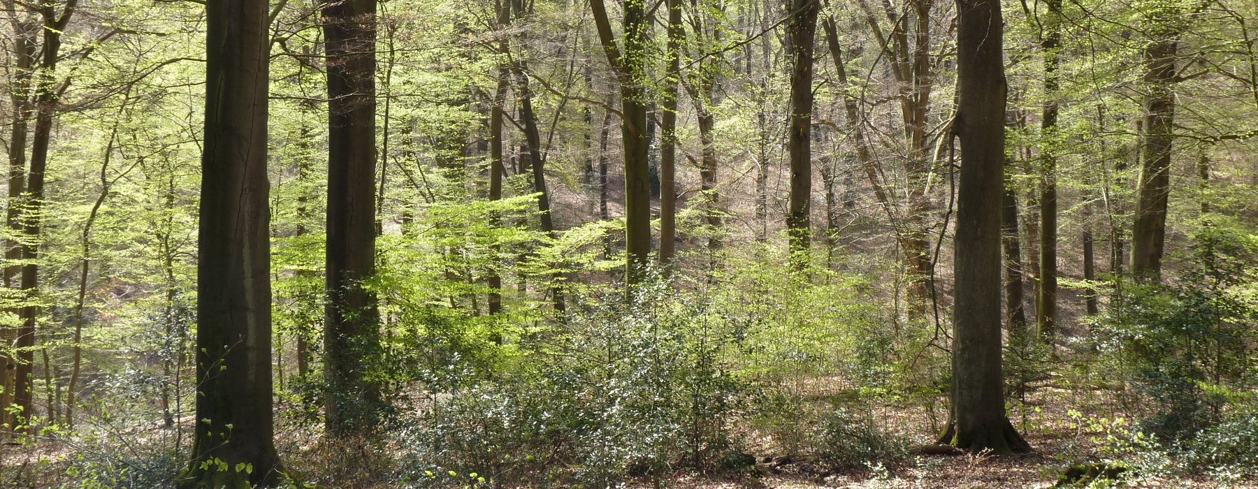 07aa Naturschutzgebiet