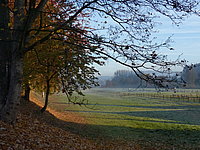P1020675